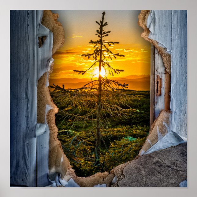 Affiche Arbre (Devant)