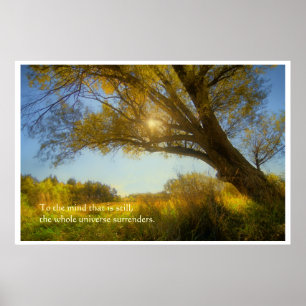 Affiche Arbre