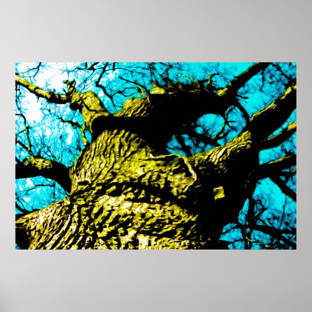 Affiche Arbre (Devant)