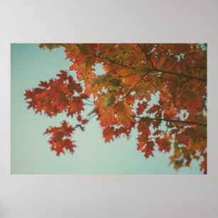 AFFICHE ARBRE À FEUILLES ROUGES