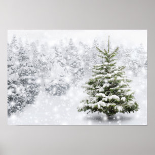 Affiche Arbre À Fir En Neige Épaisse