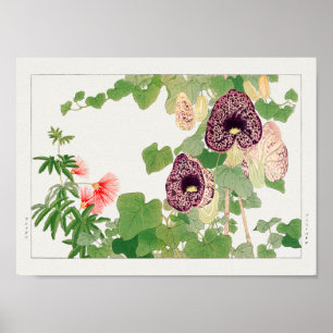 Affiche Arbre à poudre, fleur de Calico par Tanigami Konan