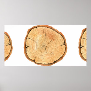 Affiche Arbre anneaux. Aquarelle, illustration.