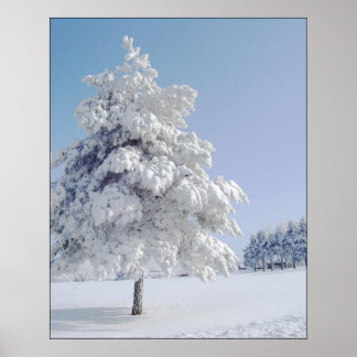 Affiche Arbre bissé à la neige