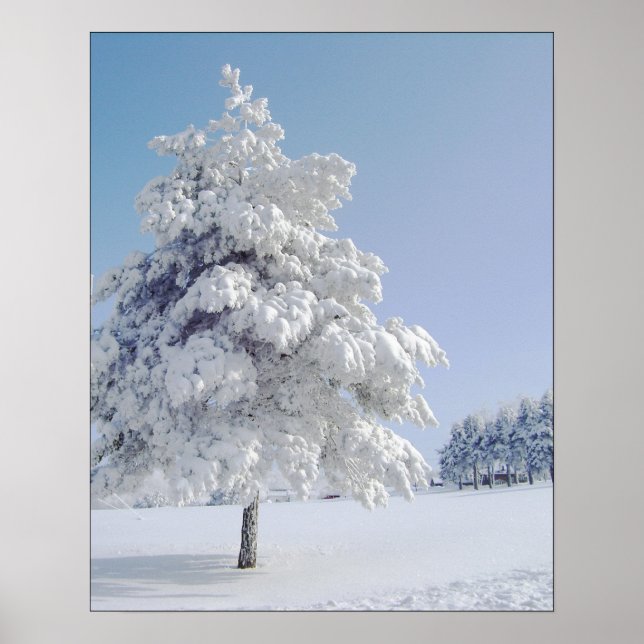 Affiche Arbre bissé à la neige (Devant)