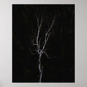 Affiche Arbre blanc solitaire
