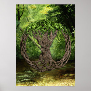 Affiche Arbre Celtique De Vie