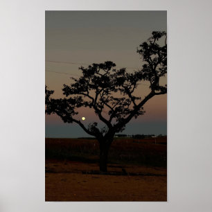Affiche Arbre Coucher de Soleil Mur Nature Photographie Ru