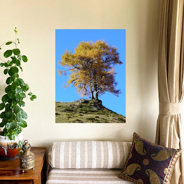 Affiche Arbre d'automne (Créateur téléchargé)