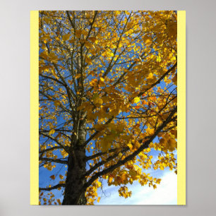 Affiche Arbre d'automne jaune