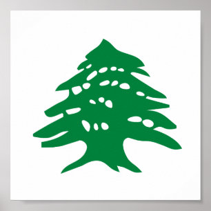 Affiche Arbre de cèdre vert du Liban