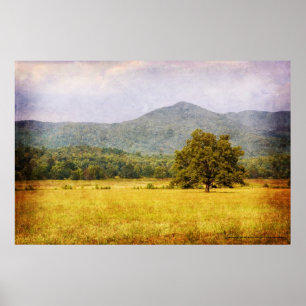 Affiche - arbre de crique de Cades - grand Mt.