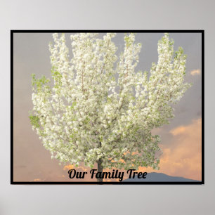 Affiche Arbre de famille photo Arbre de fleurs blanches
