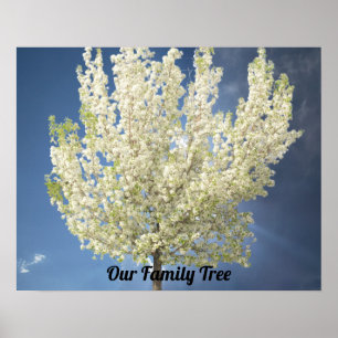 Affiche Arbre de famille photo Arbre de floraison blanche