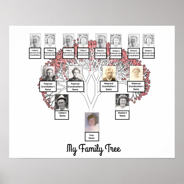 Affiche Arbre de la famille fractée en fleurs roses avec a (Devant)