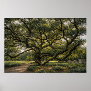 Affiche Arbre de la vie du Sud Art de chêne vivant Aff
