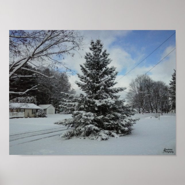 Affiche Arbre de Noël non coupé (Devant)