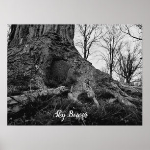Affiche arbre de pensée