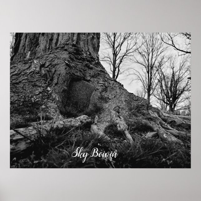 Affiche arbre de pensée (Devant)