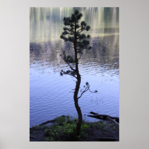Affiche Arbre de réflexions