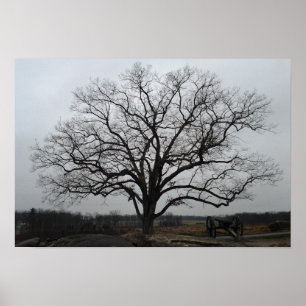 Affiche Arbre de repaire de diables