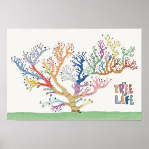 Affiche Arbre de vie (19x13)