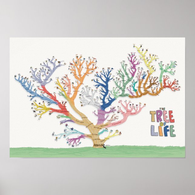 Affiche Arbre de vie (19x13) (Devant)
