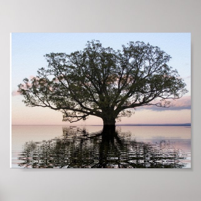 Affiche Arbre de vie (Réflexions) (Devant)