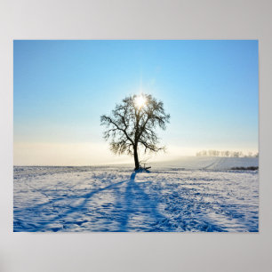 Affiche Arbre d'hiver - -