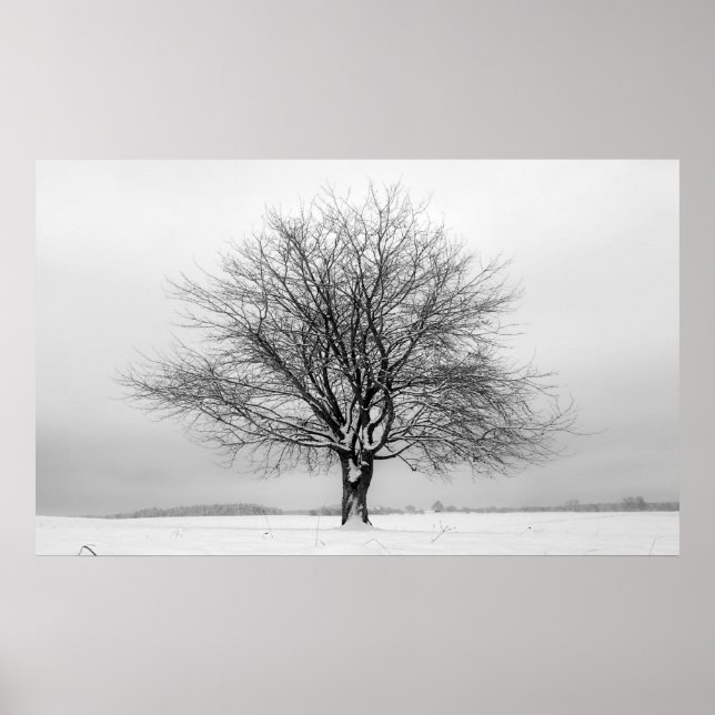 Affiche arbre d'hiver (Devant)