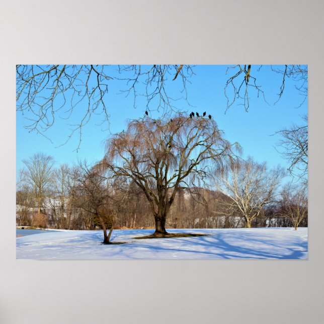 Affiche Arbre d'hiver avec oiseaux (Devant)