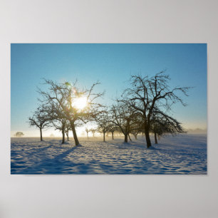 Affiche Arbre d'hiver `s par le lever du soleil - -