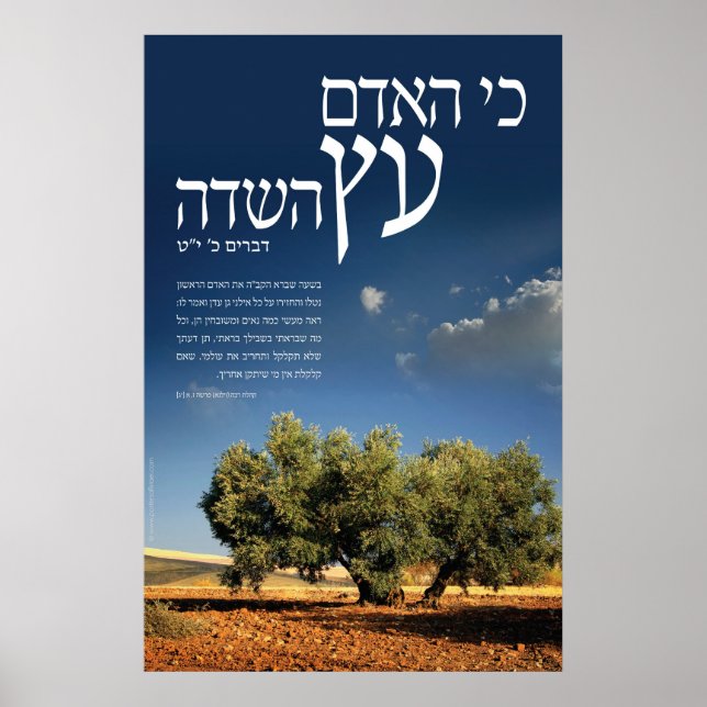 Affiche Arbre du champ (Devant)