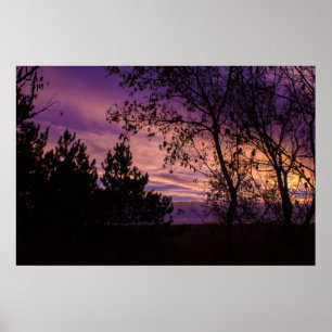 Affiche Arbre en Silhouette sous un Ciel Crépusculaire Vio