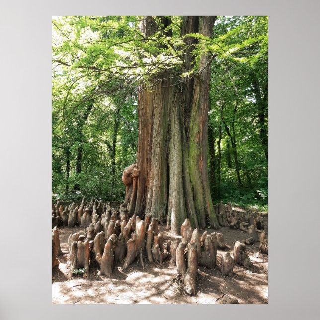Affiche Arbre et racines (Devant)