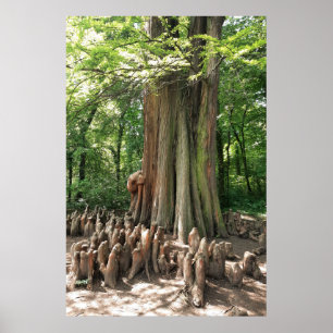 Affiche Arbre et racines