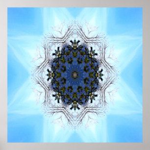 Affiche Arbre étoile.....