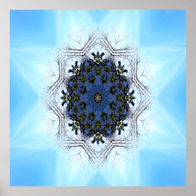 Affiche Arbre étoile..... (Devant)