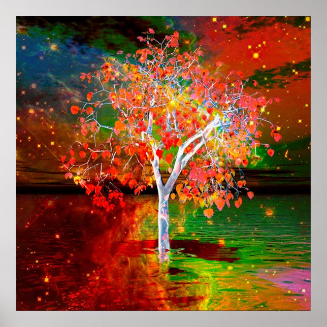 Affiche Arbre étoile (Devant)