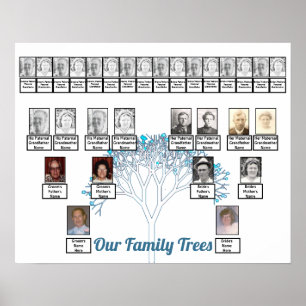 Affiche Arbre Fractal Fleurs Bleues Arbres Familiaux Poste