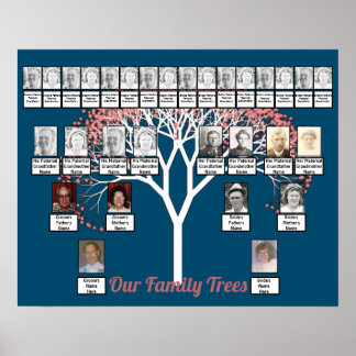 Affiche Arbre fractal rose en fleurs Bleu 2 Arbres de fami