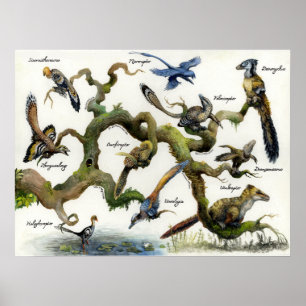 Affiche Arbre généalogique de la famille des Dromaeosaurid