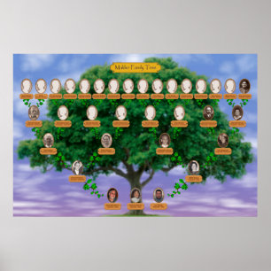 Affiche Arbre généalogique de Makler