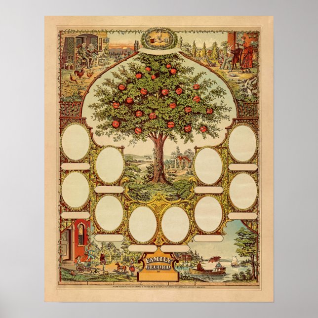Affiche Arbre Généalogique Vintage (Devant)