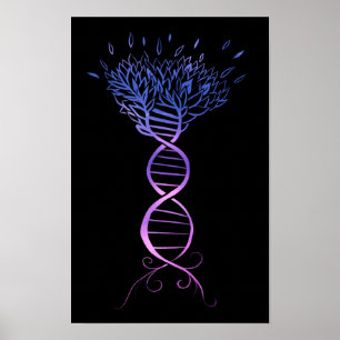 Affiche Arbre génétique du brin d'ADN de l'arbre de vie