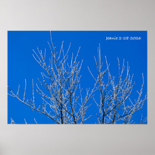 Affiche Arbre givré