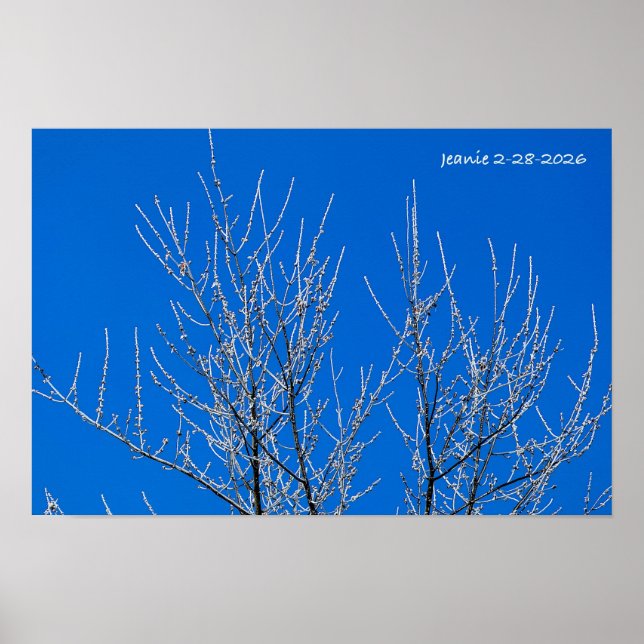 Affiche Arbre givré (Devant)