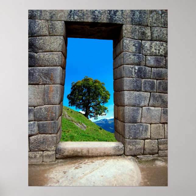 AFFICHE ARBRE LONE DE MACHU PICHU (Devant)