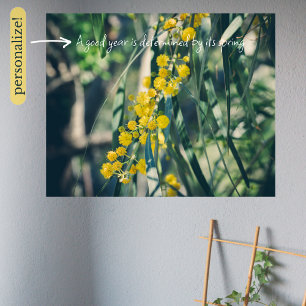 Affiche Arbre Mimosa aux fleurs jaunes