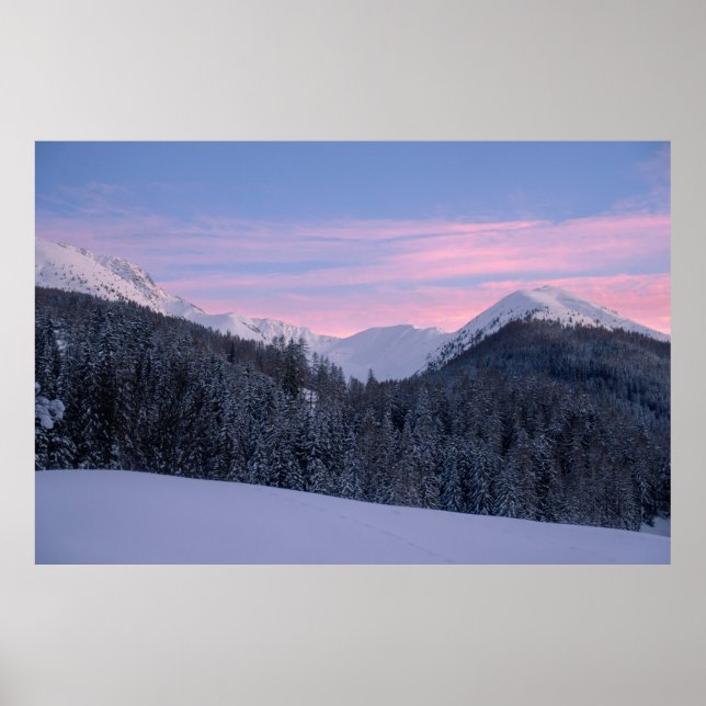 AFFICHE ARBRE NÉ (Devant)